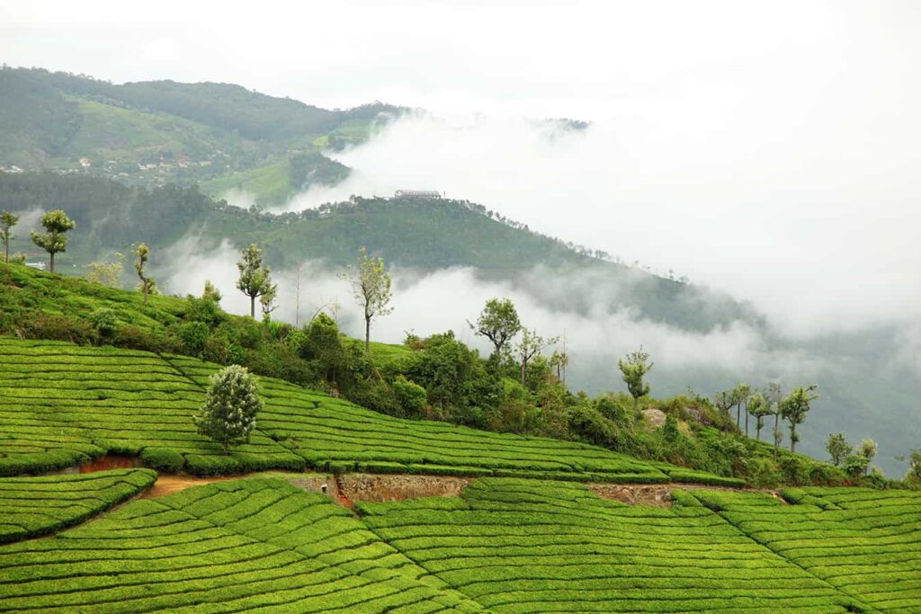 Coonoor is the best place to visit Near Coimbatore for Weekend Trips
