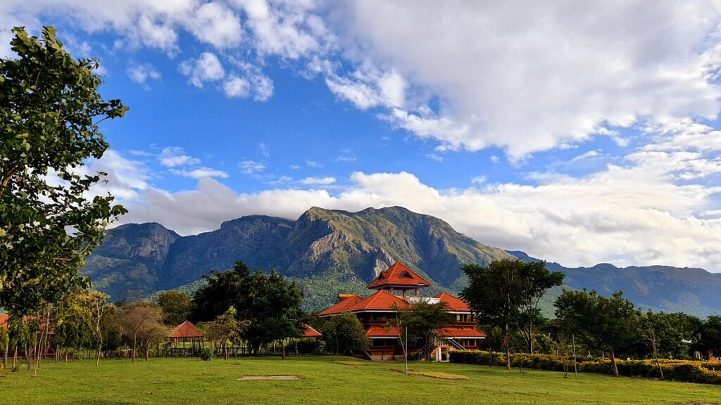 Masinagudi is the best place to visit Near Coimbatore for Weekend Trips